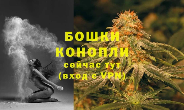 гидра Дмитров